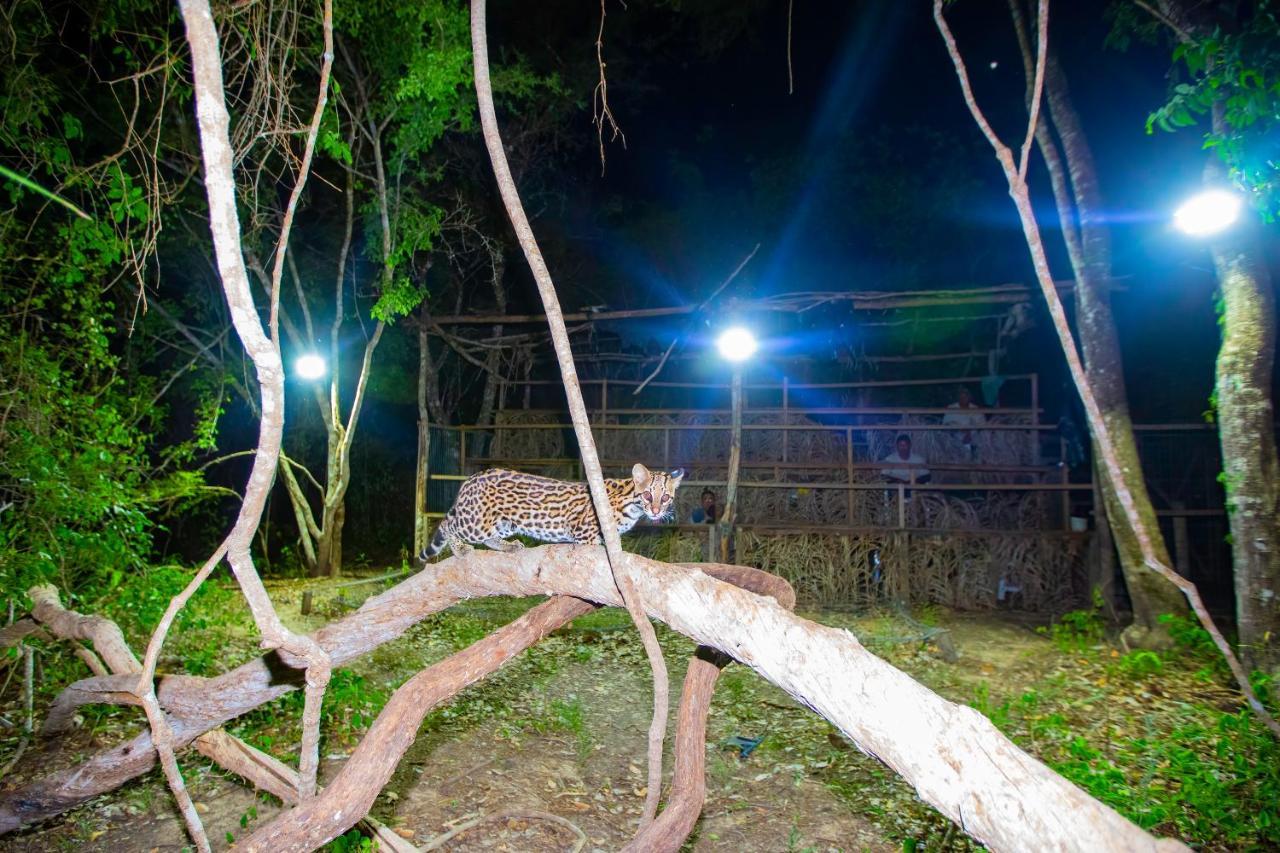 Southwild Pantanal Lodge Pixaim Exterior foto