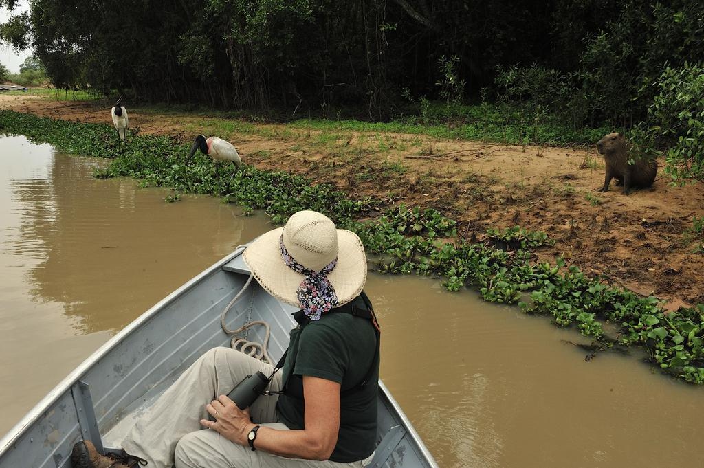 Southwild Pantanal Lodge Pixaim Exterior foto