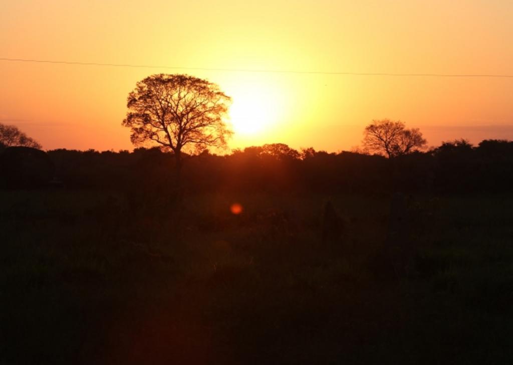 Southwild Pantanal Lodge Pixaim Exterior foto